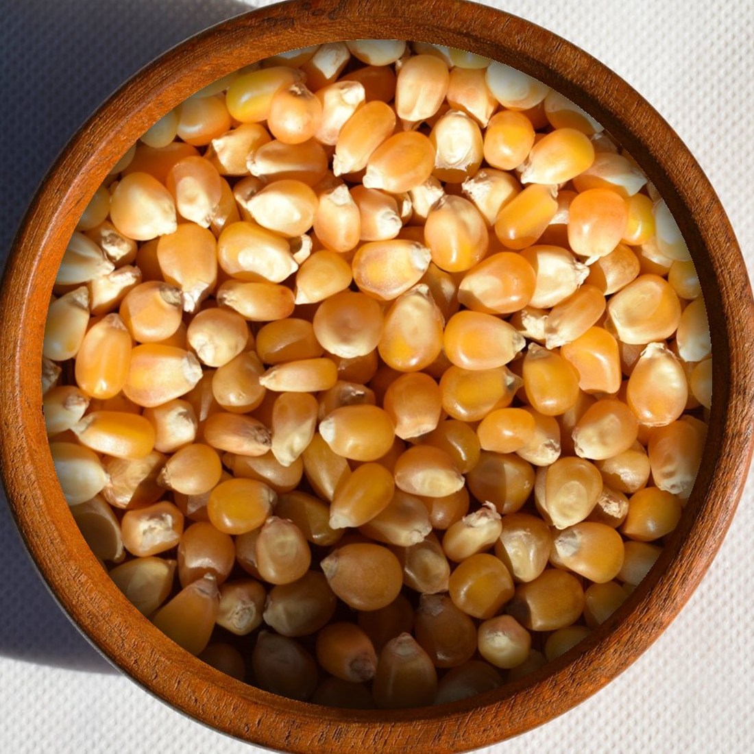 Popcorn maize in a bowl